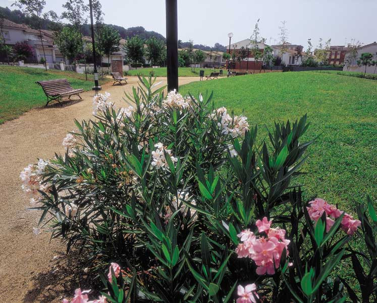 Parc del bosc
