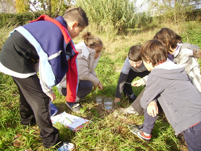 Activitats educació ambiental