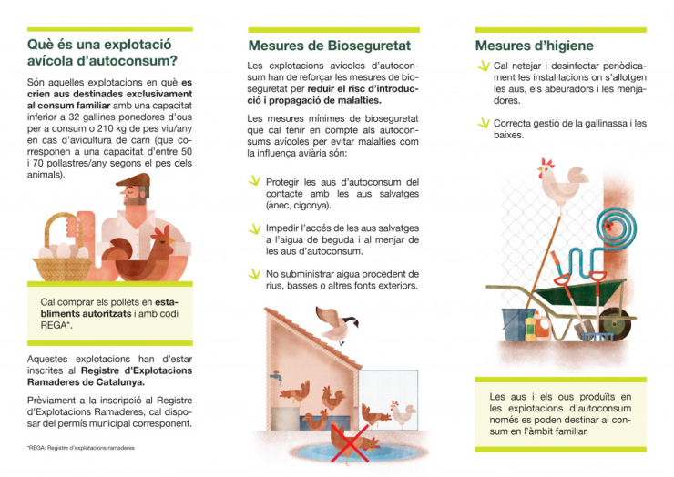 Flyer tinença d'aus pàgina 2