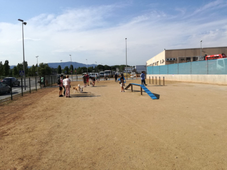 Obra acabada a l'espai per a gossos