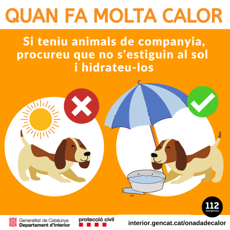 onada calor mascotes instagram.png