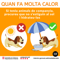 onada calor mascotes instagram.png