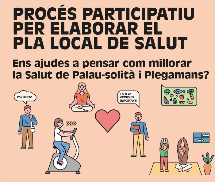 Pla local de salut.png