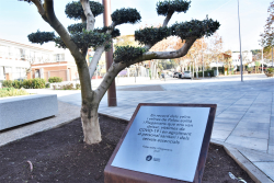 Placa en record de les víctimes de la Covid