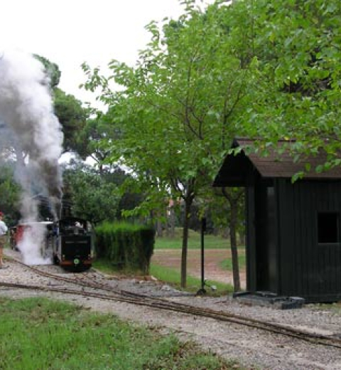 Tren de Palau