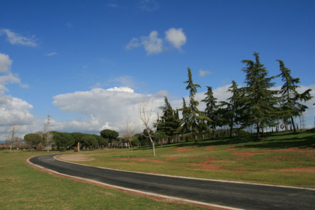 Camí principal del parc de l'Hostal del Fum.