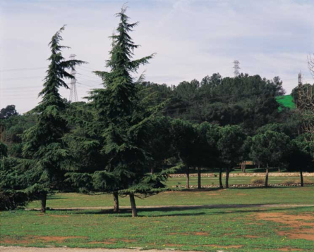 Parc de l'Hostal del Fum