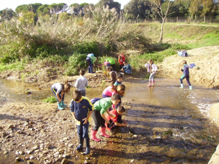 Activitats educació ambiental