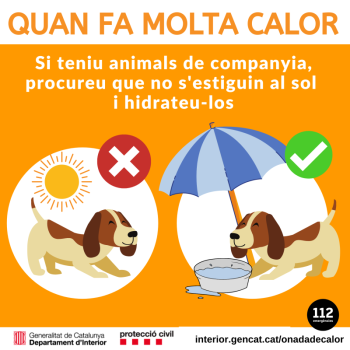 onada calor mascotes instagram.png