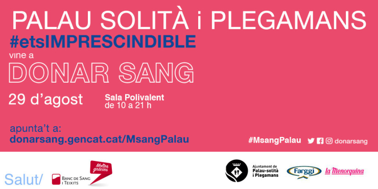 Marató de Sang Palau-solità i Plegamans