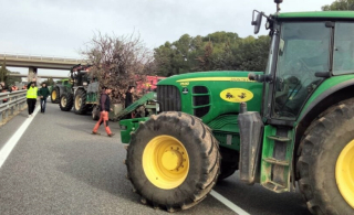 Tractors tallant l'AP2 a Vilarodona febrer 2024.jpeg