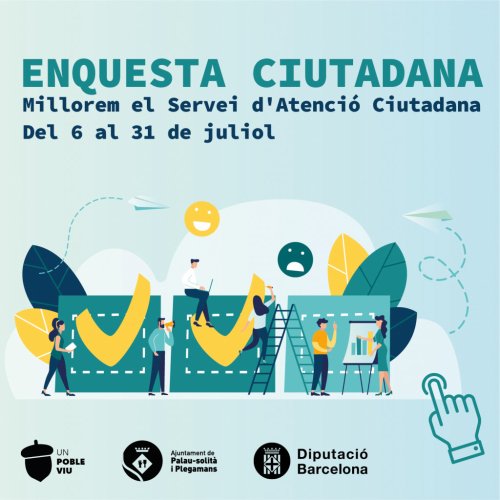 Enquesta ciutadana