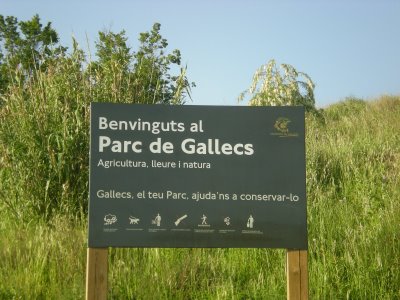 Gallecs cartell